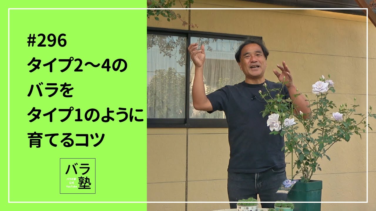 #296 タイプ2～4のバラをタイプ1のように育てるコツ