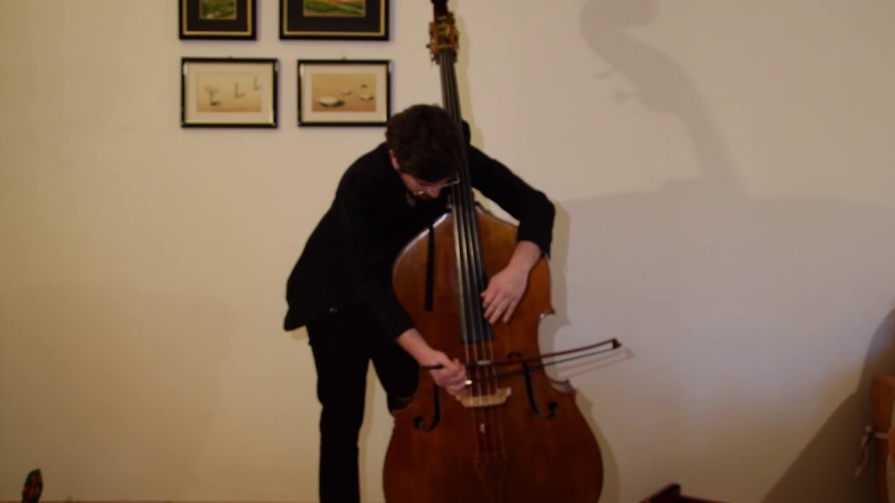 Hans Fryba, Allemande - Suite im Alten Stil - Erasmus audition video, Simone Terracciano