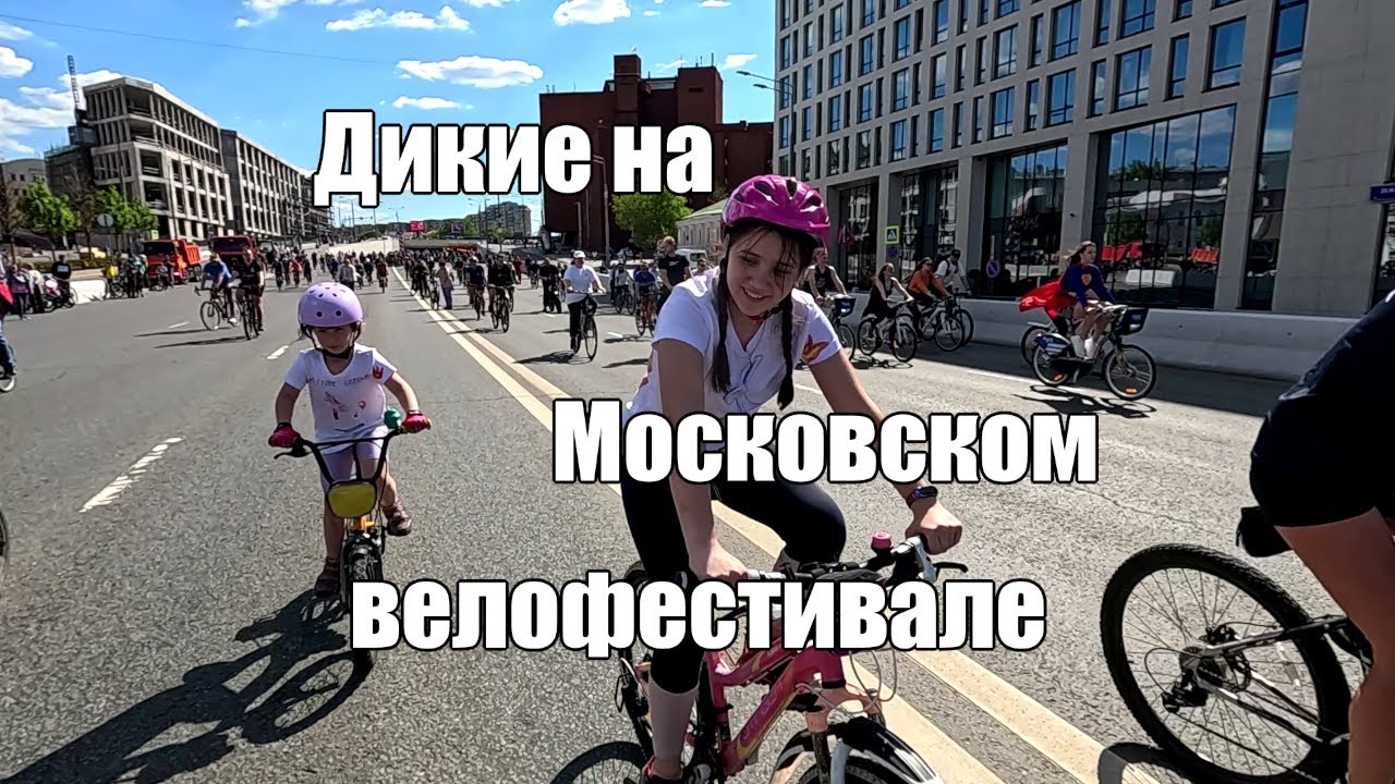 Дикие на Московском велофестивале 2024
