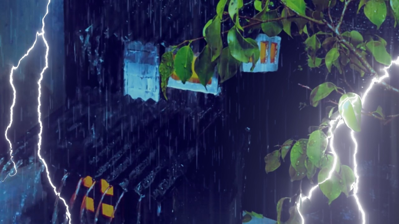 Rain and Thunder Calm Sounds | Deep Relaxation