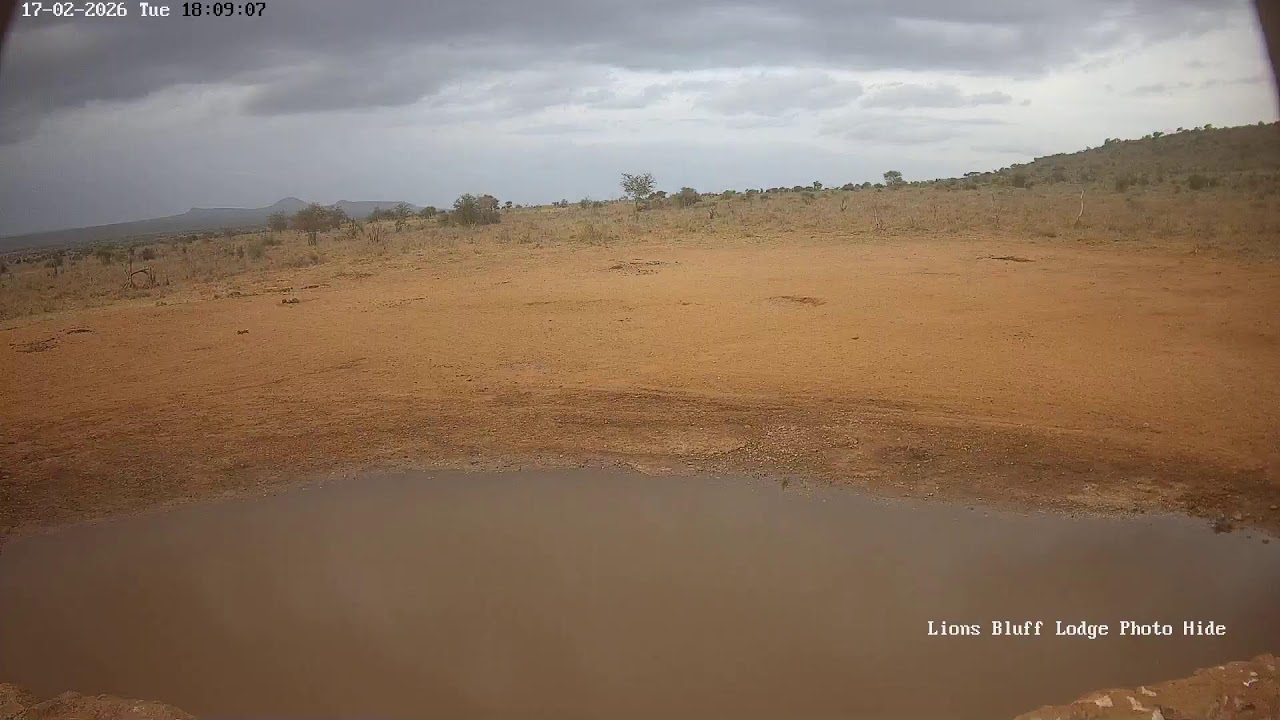 Lions Bluff Lodge Photo Hide - Live Stream