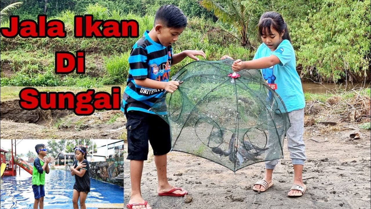 pasang jebakan ikan di sungai