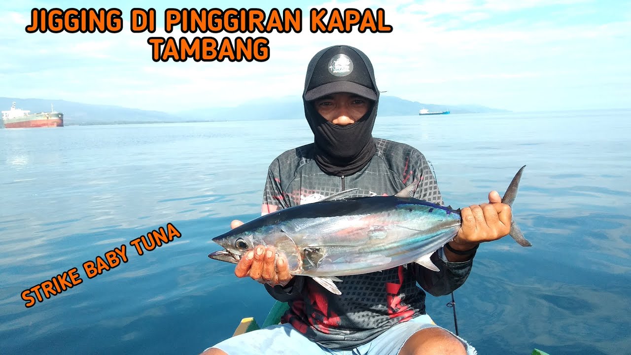 MANCING PINGGIRAN KAPAL TAMBANG || MICRO JIG 20 GRAM FULL STRIKE BABY TUNA