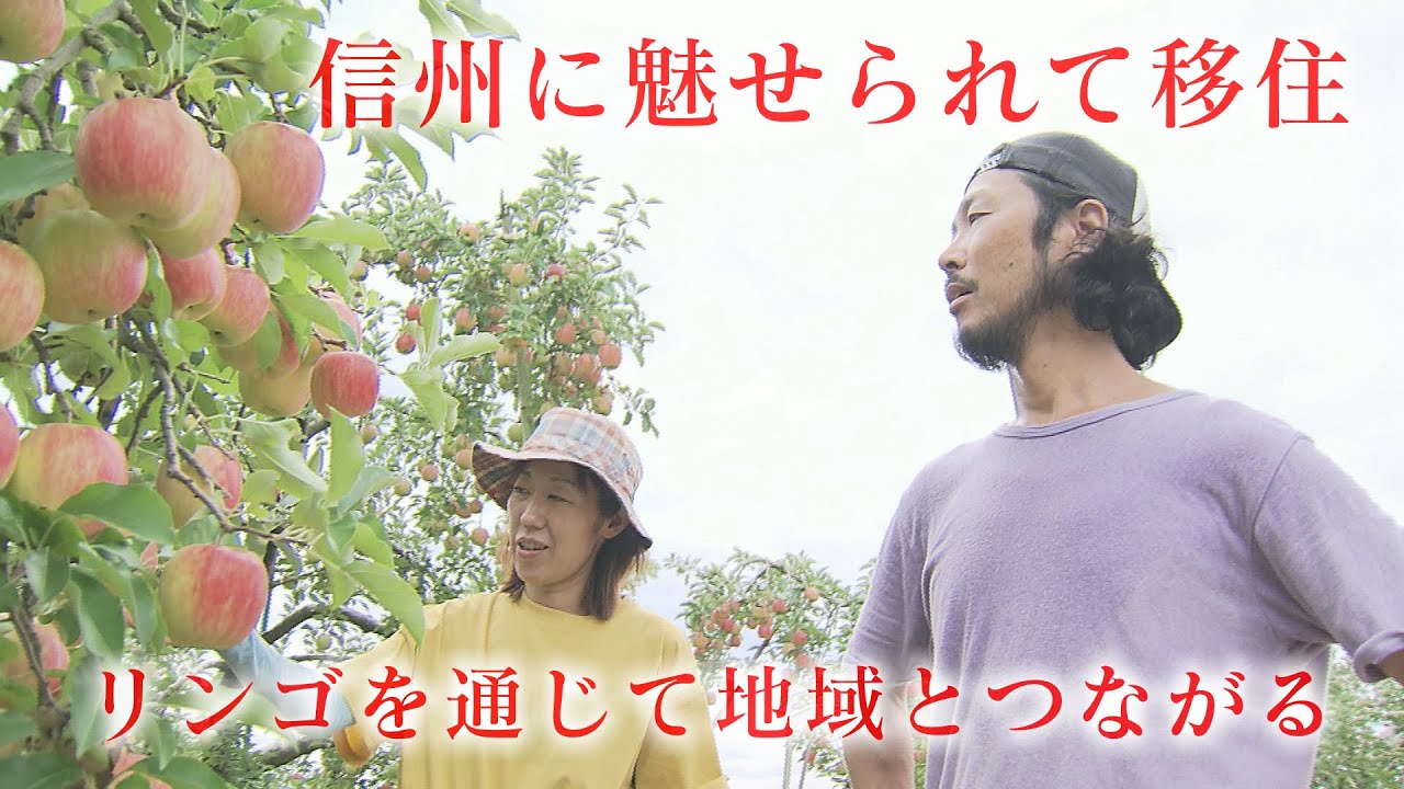 リンゴを通して地域とつながる（2024年9月23日放送abnステーション）