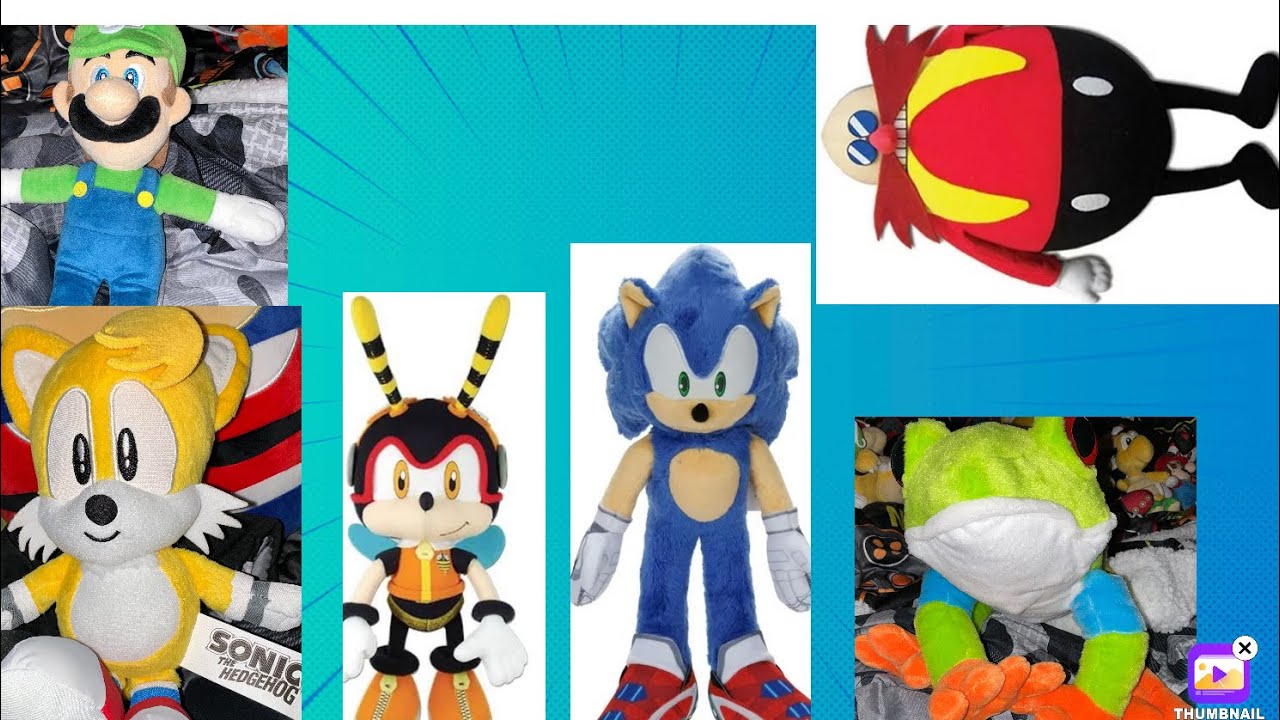 Sonic gets a pet#