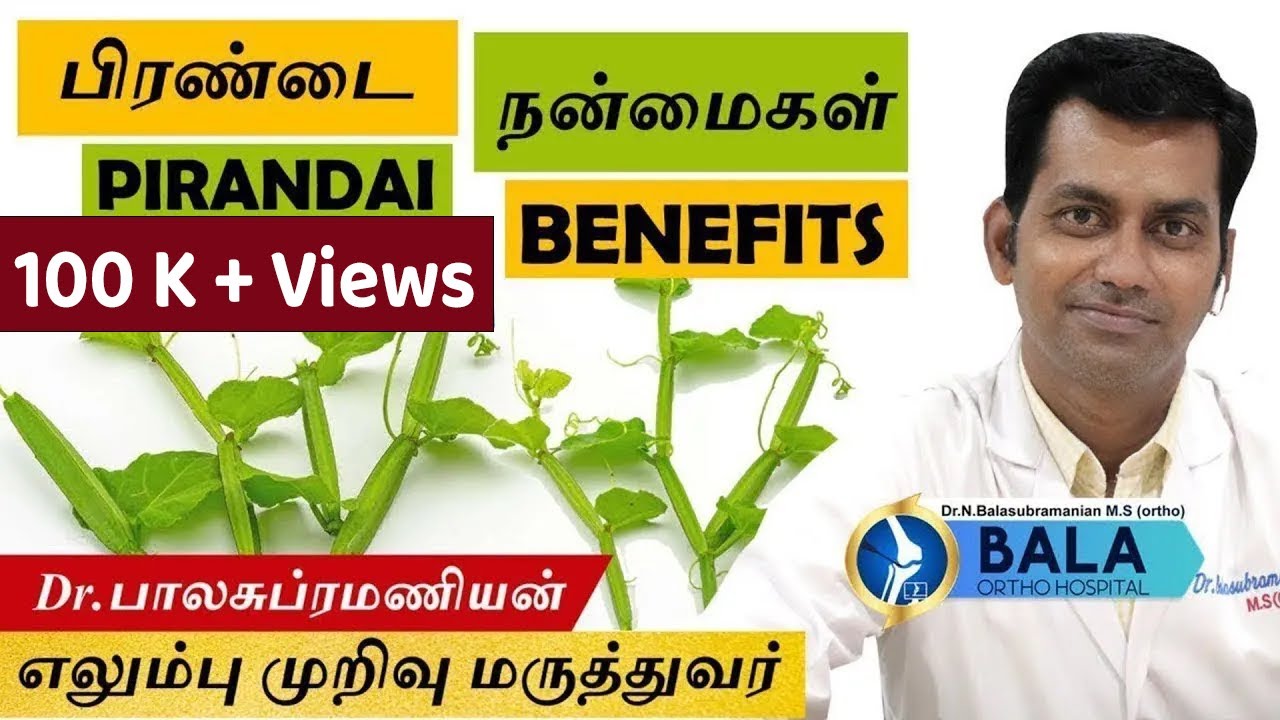 Pirandai: பிரண்டை நன்மைகள் | Pirandai Benefits by Dr. Balasubramanian MS Ortho | Vitamin | Calcium