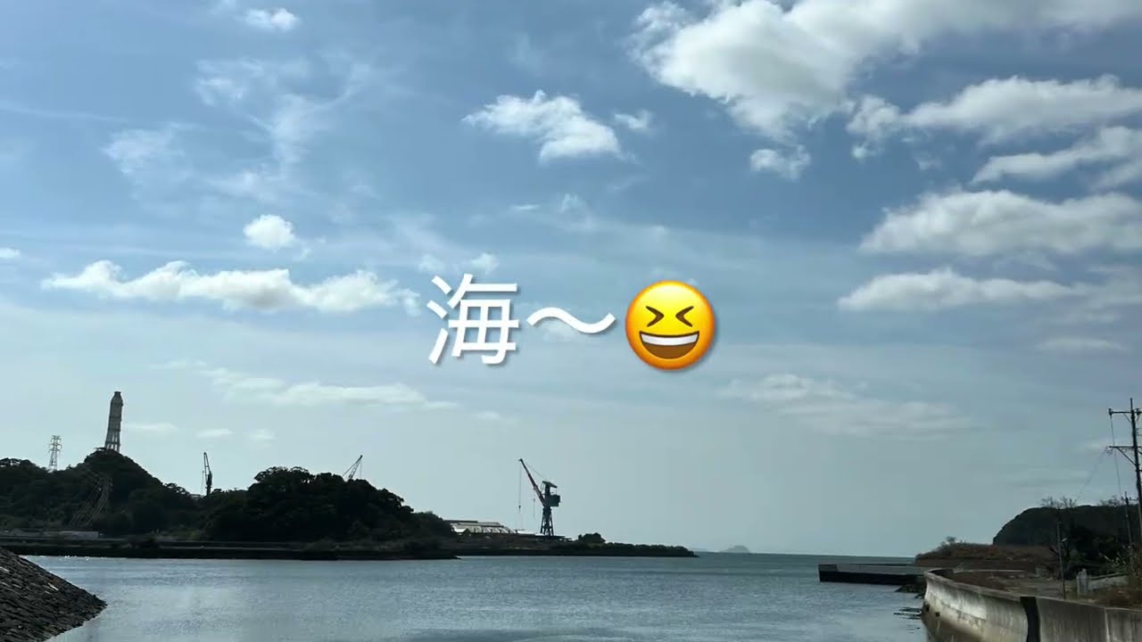 行ってみよう！！シロウオ漁・河津桜・菜の花「佐々川」春だな〜🌸