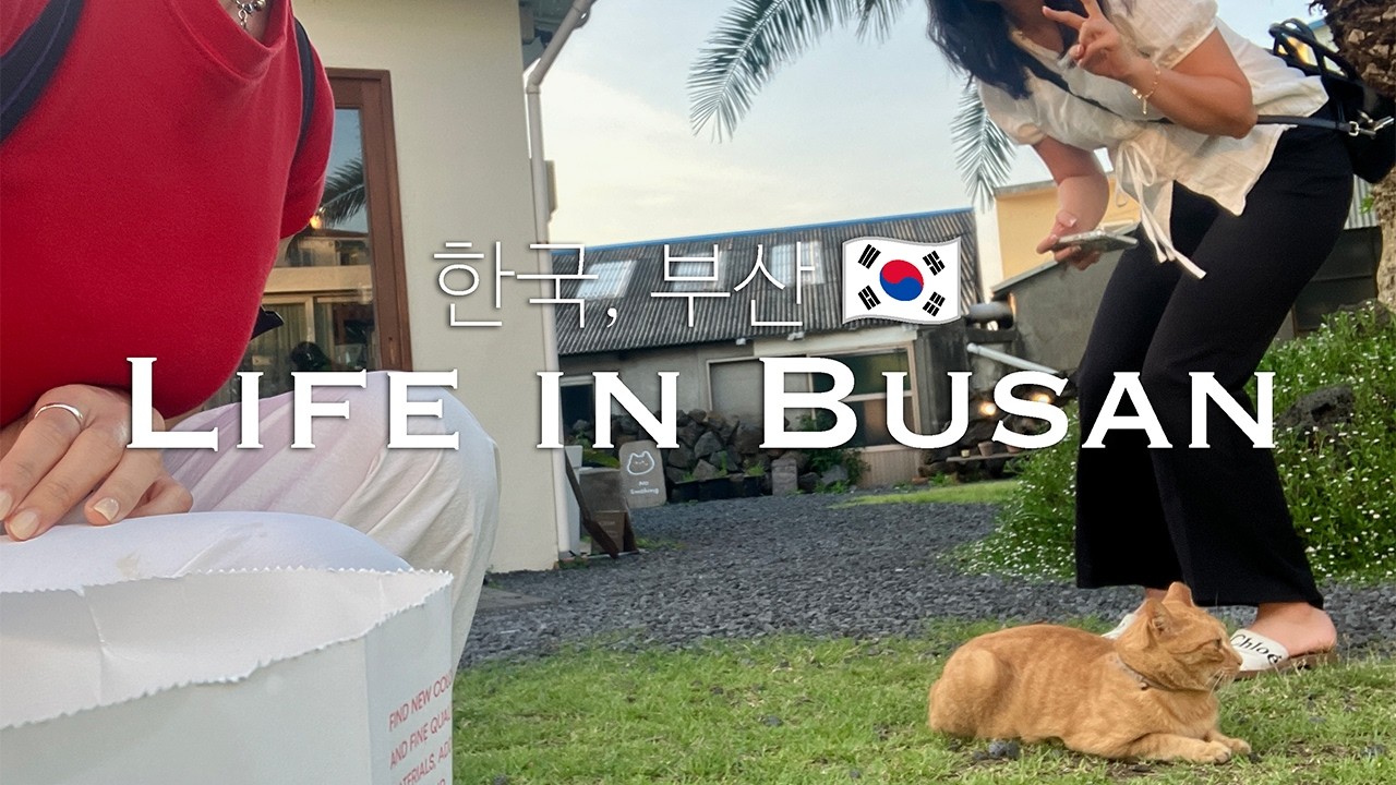 𝐕𝐥𝐨𝐠 | 🇬🇧 영국 고고학 유학생 | 출국 전 마지막 브이로그! | 주 7일 알바 청산 | 벼락치기 고향 투어 (feat. 갑자기 제주도) | 이제 진짜 영국 간다!