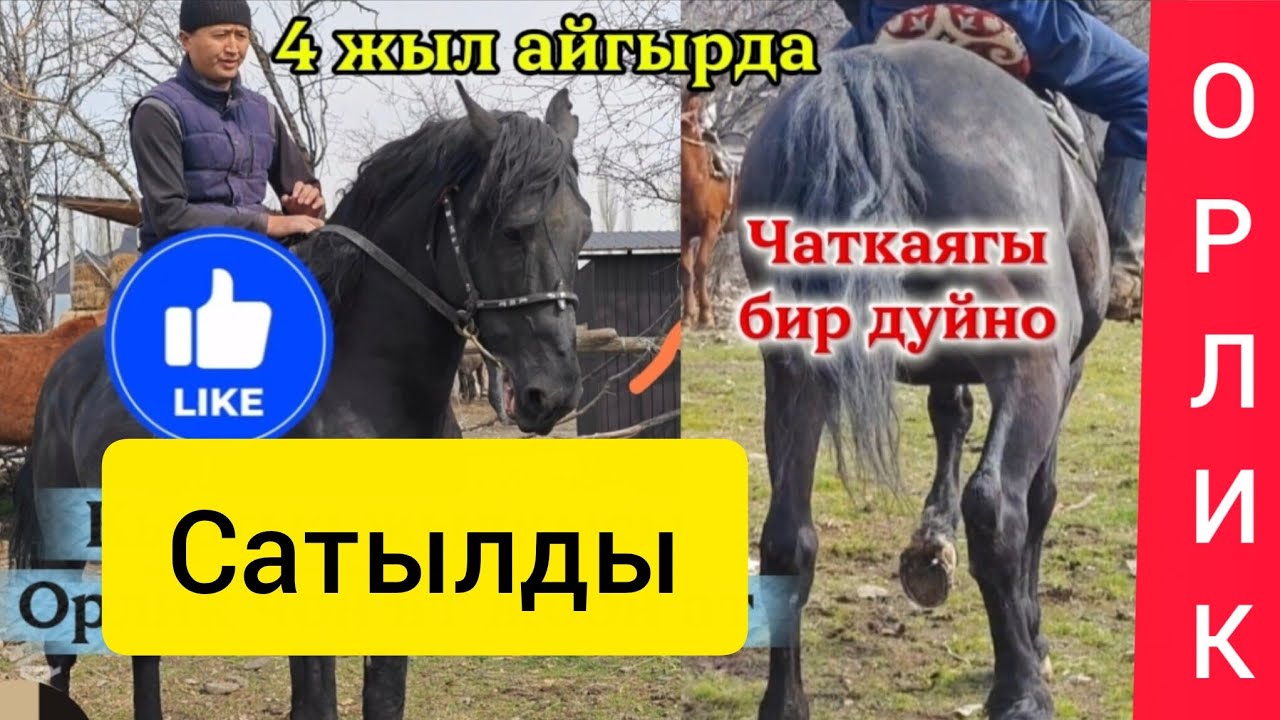 Сатылды