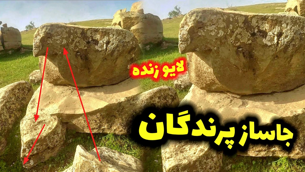پیداکردن جاساز گنج پرندگان