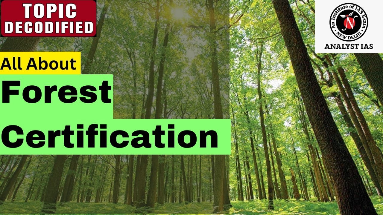 All About Forest Certification | Topic Decodified | UPSC | ANALYST IAS