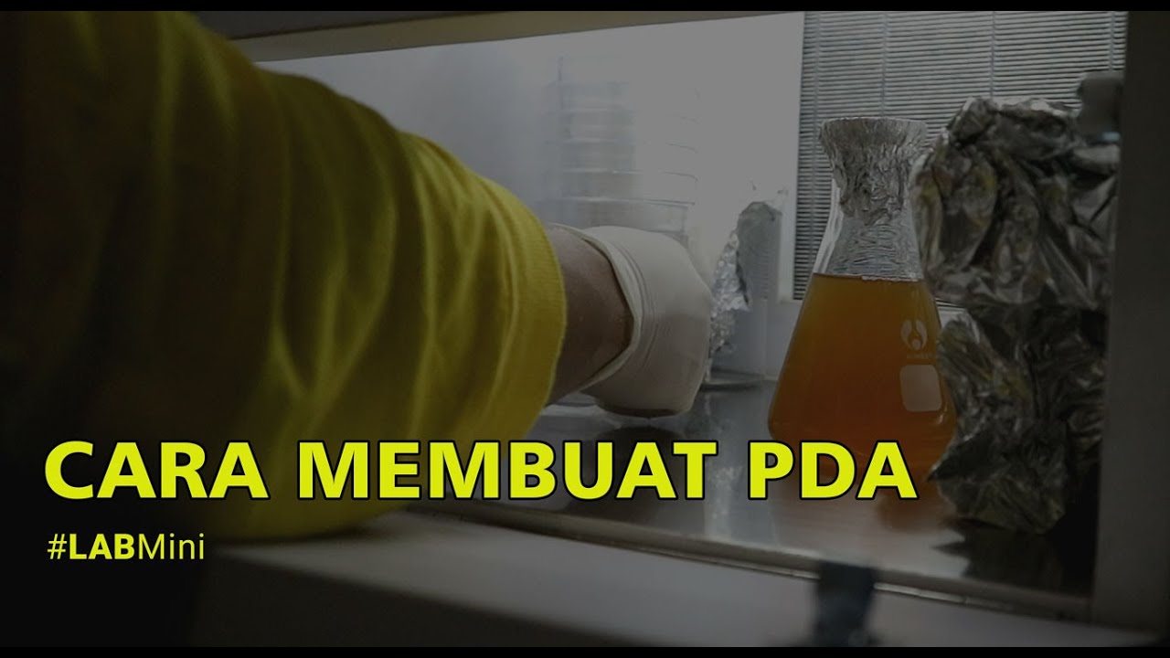 Cara Membuat PDA Menggunakan Panci Presto | LAB Mini Lombok Organik