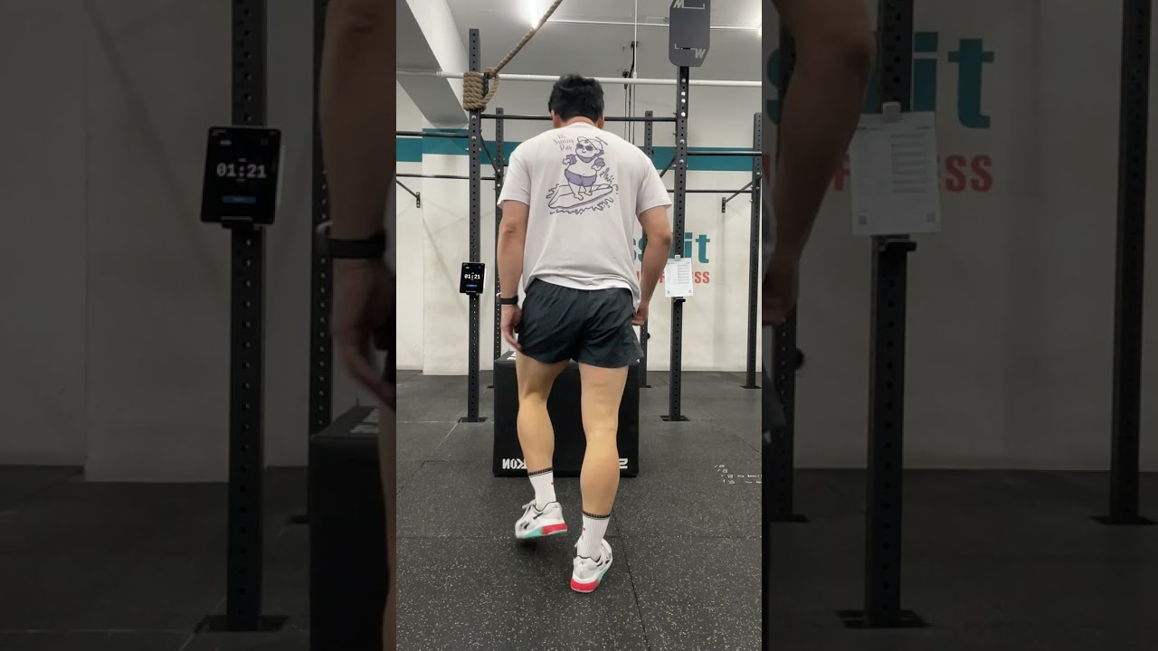 26.1