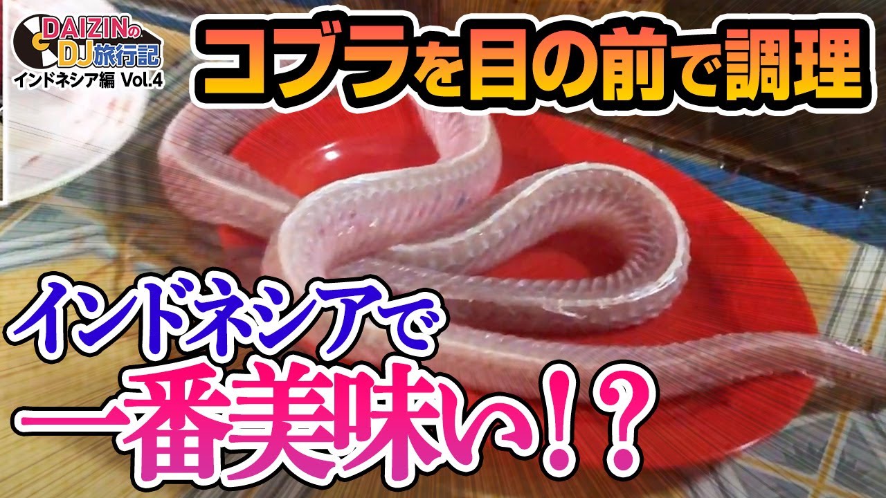 コブラを食べれる屋台！？実は超美味しいインドネシアの珍味を実食！