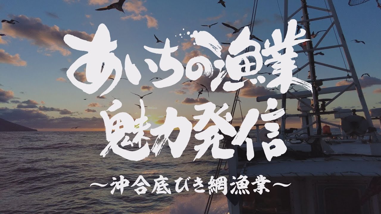 あいちの漁業魅力発信～沖合底びき網漁業～