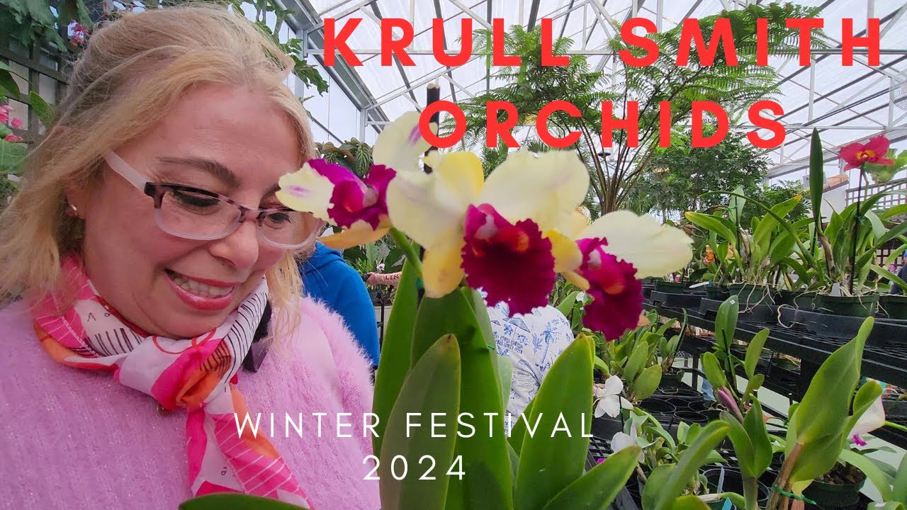 Krull Smith Orchid winter event. Apopka International Orchid Festival 2024.