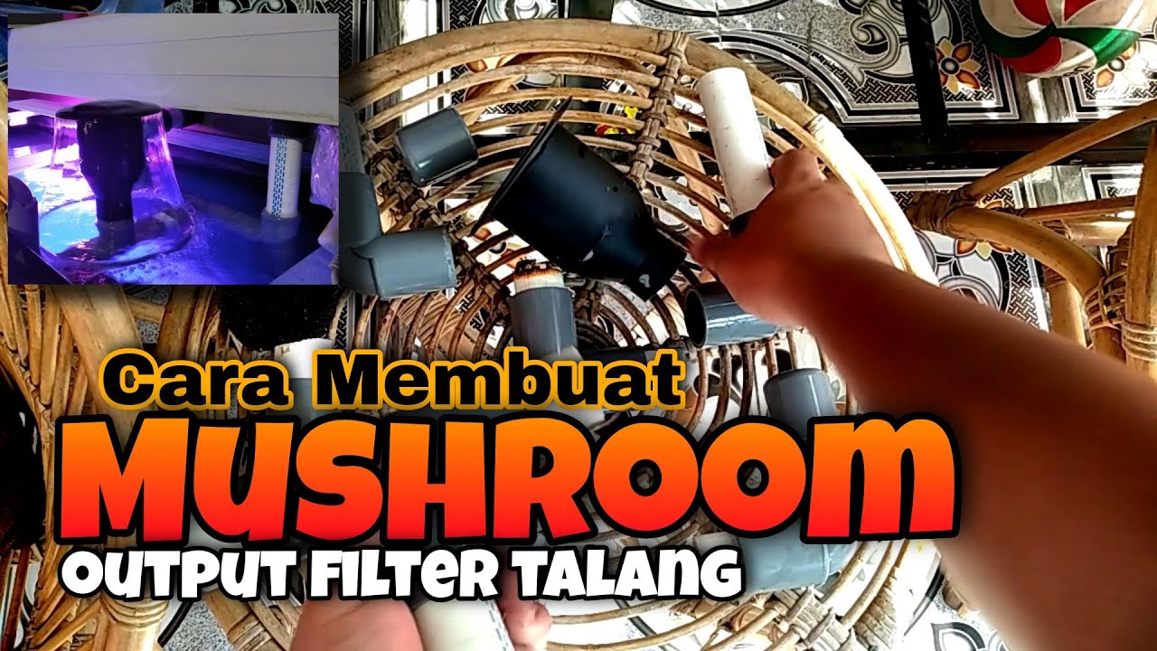 CARA MEMBUAT MUSHROOM OUTPUT FILTER TALANG - SUMPAH GAMPANG BANGET DAN MEWAH HASILNYA ❗❗❗