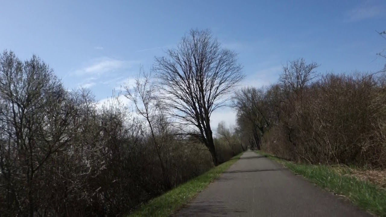 Auf dem südlichen Rhein-Rhone Kanal Radweg