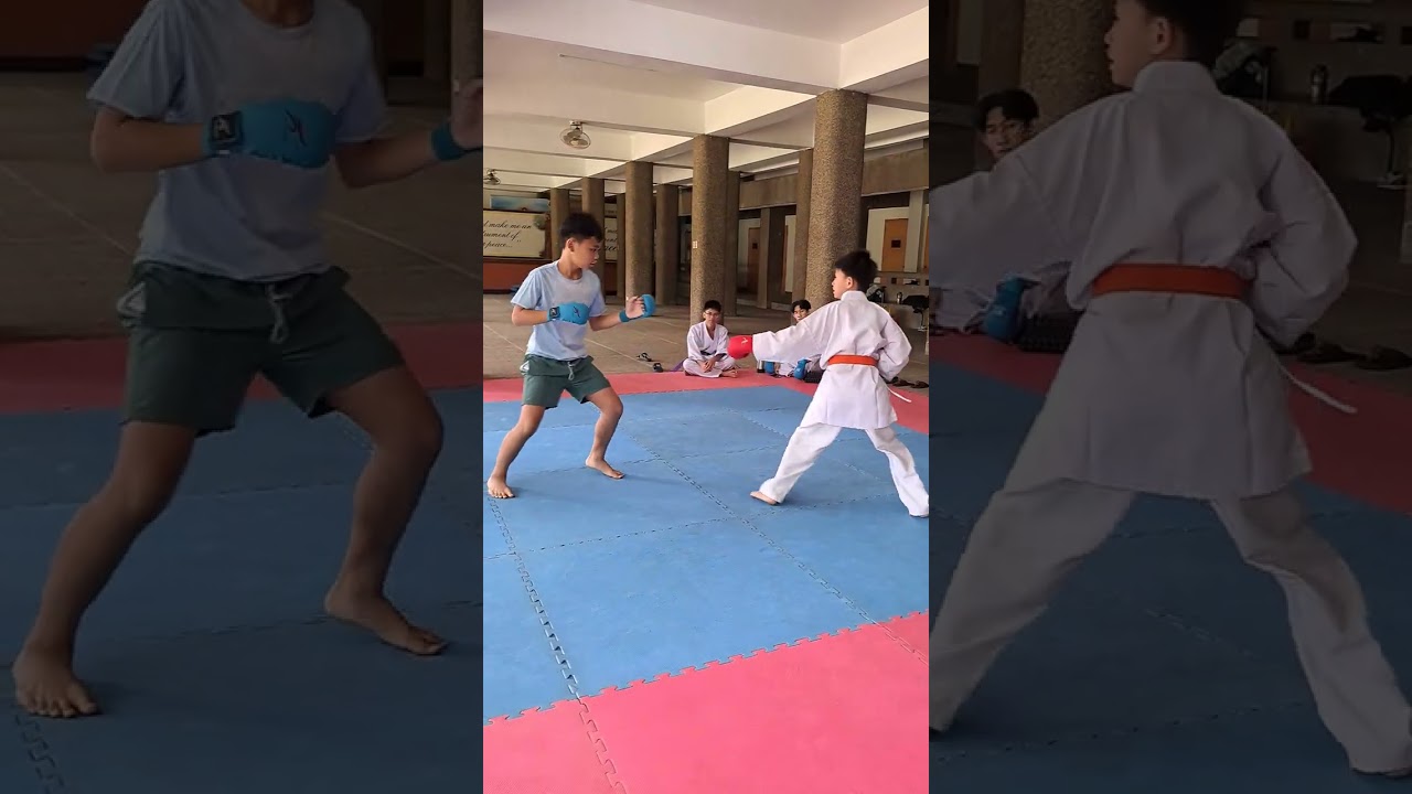 LSM Karate Training Kumite Carl and Max  20250222 104943