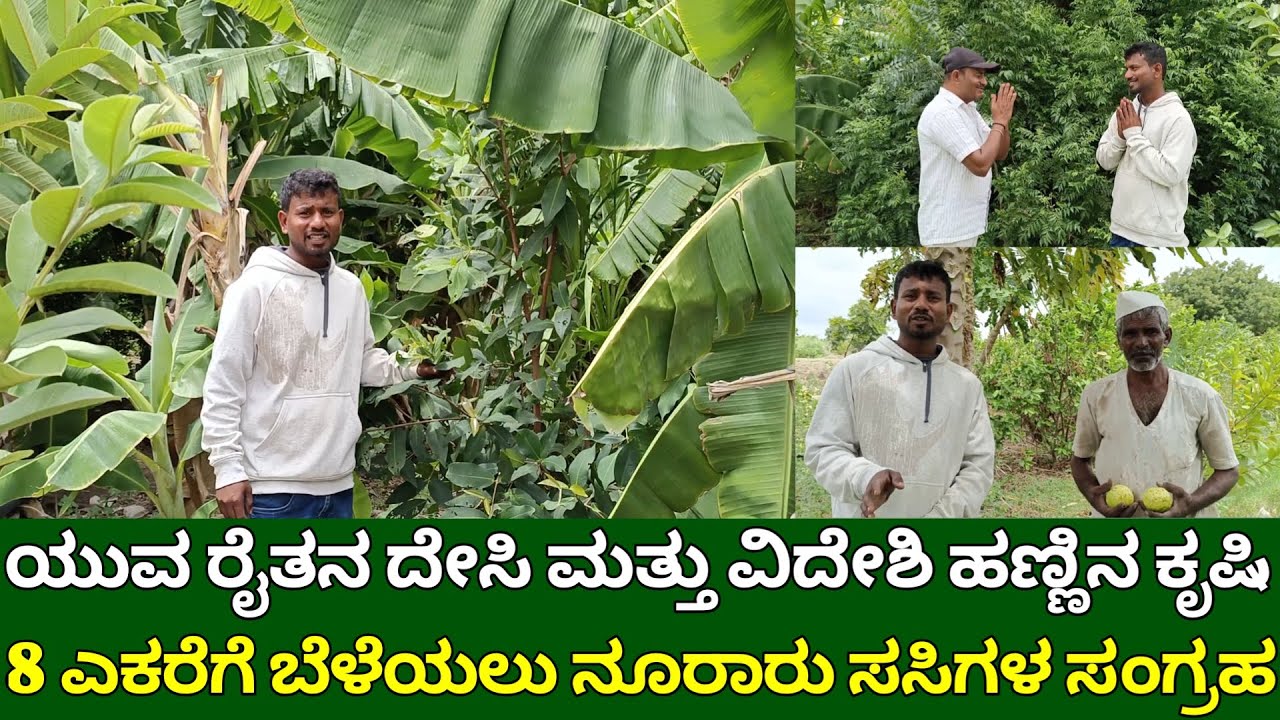 ಯುವ ರೈತನ ದೇಸಿ & ವಿದೇಶಿ ಹಣ್ಣಿನ ಕೃಷಿ | exotic fruit plants | fruit plants farming | mixed fuit plant