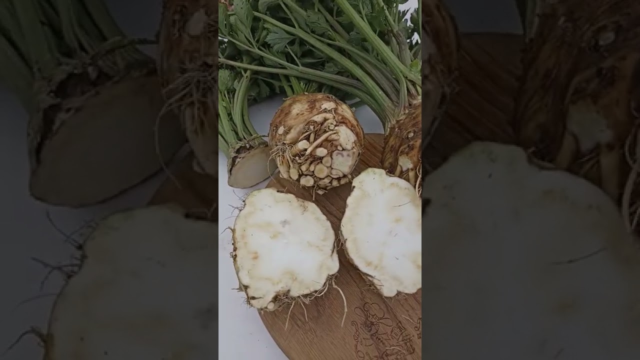 Всех полезней и ценней - сельдерей!