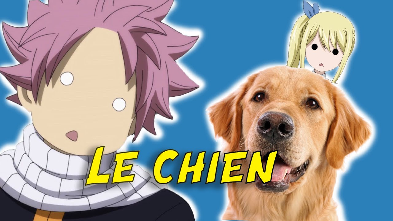 Fairy tail- 