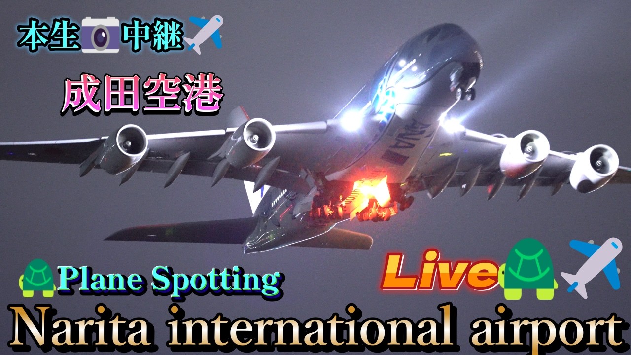 【2026/02/24 ❷】【📸Live🐢✈️Narita international✈️ airport Live📸】airplane spotting【成田空港✈️本生📸中継】