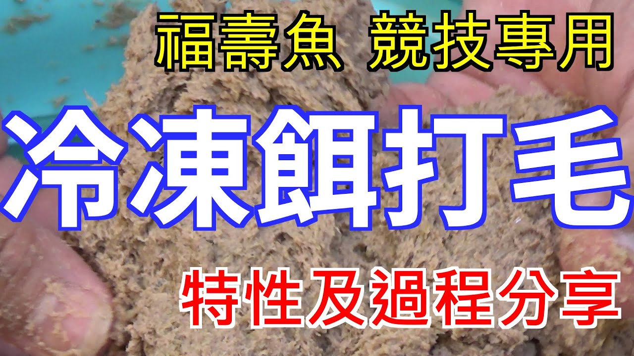 【福壽魚餌】釣福壽魚的冷凍餌打毛後有甚麼優點?如何將冷凍餌變成打毛餌?釣魚比賽可能會需要的技能之一
