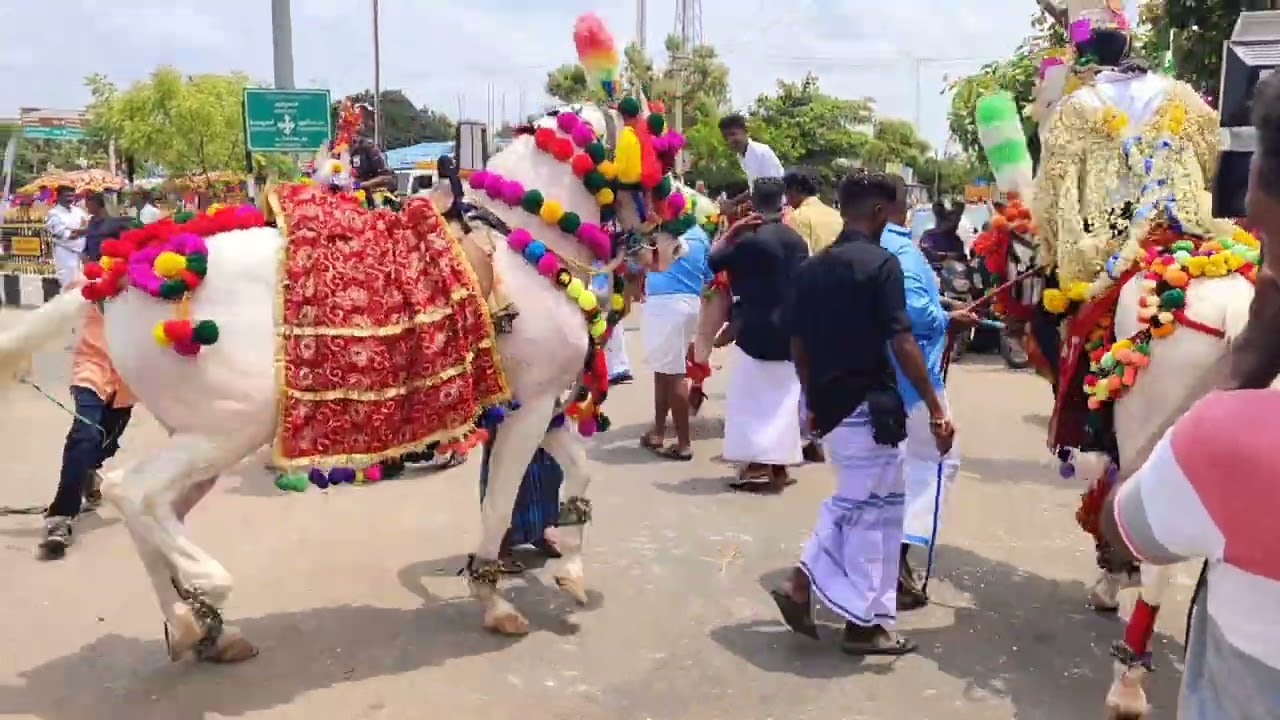HORSE DANCE TAMILNADU 🐎😚🥁🎷🎶🎹(3)