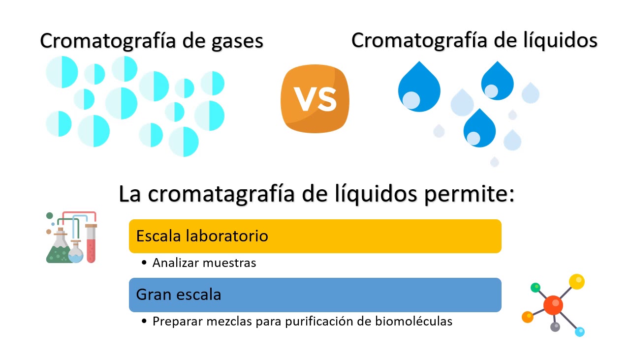 Cromatograf&iacute;a en bioprocesos