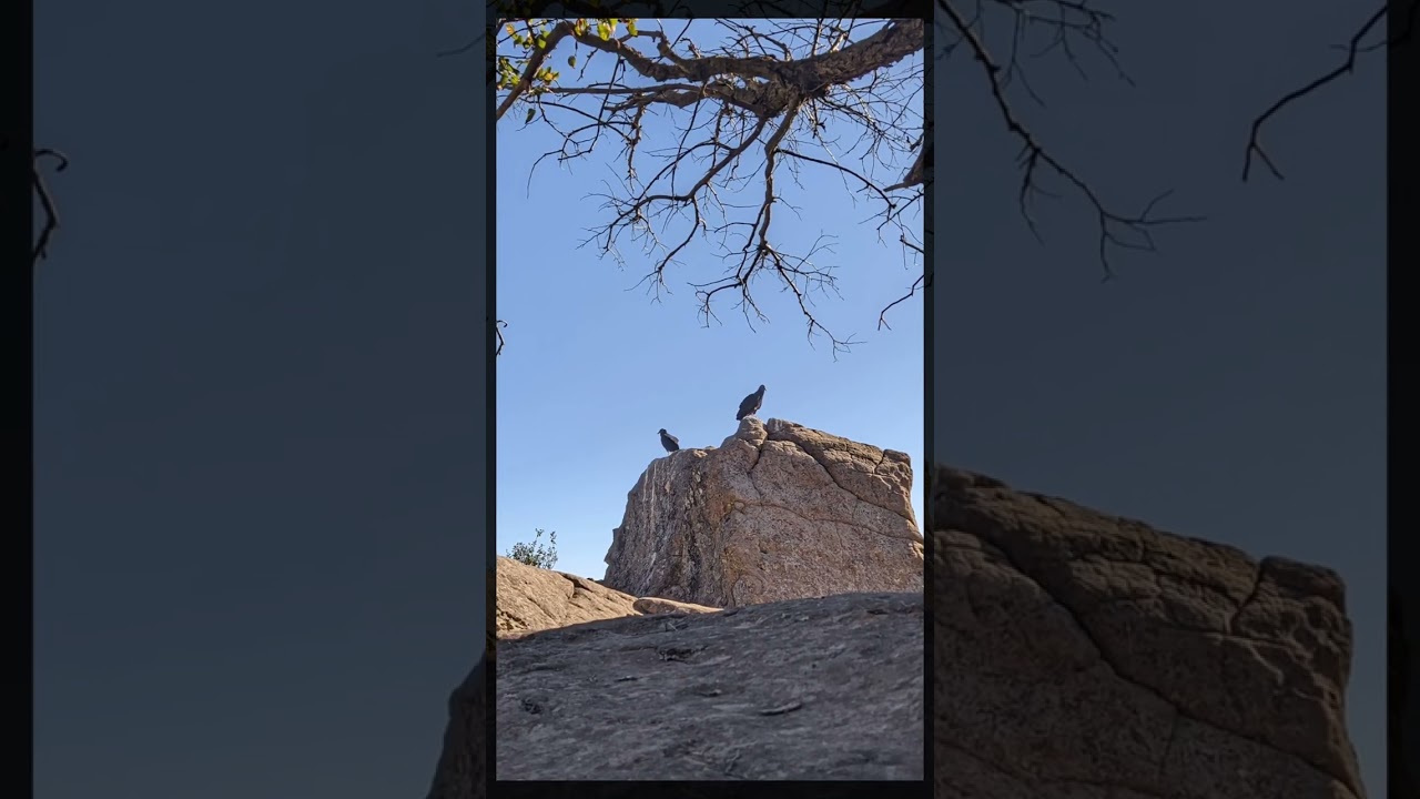 Cerro la campana - Armerillo
