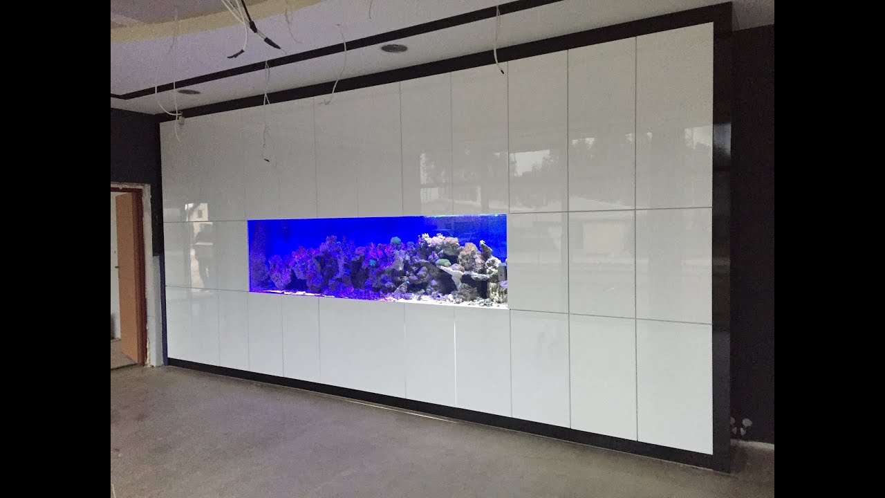 Zakładanie akwarium morskiego w biurze -Mega konstrukcje Argus Aquarium Design&Garden 695 807 066