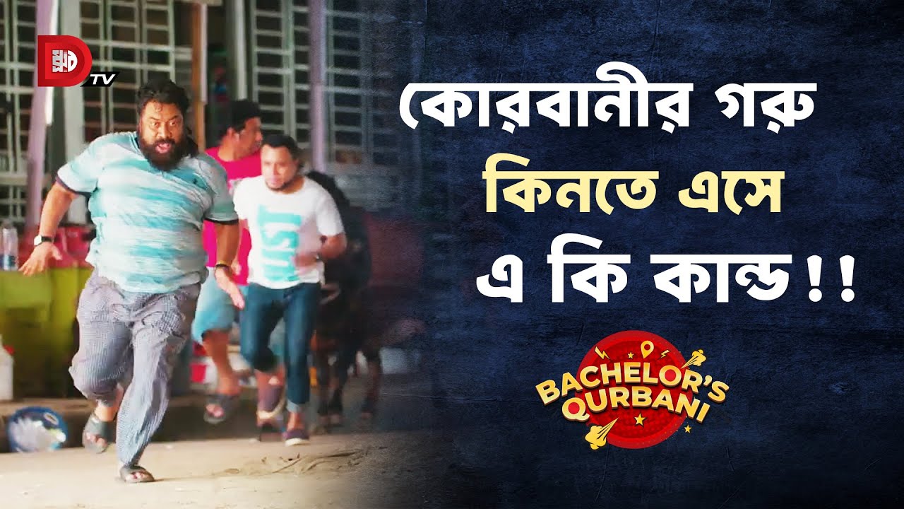 কোরবানীর গরু কিনতে এসে এ কি কান্ড !!