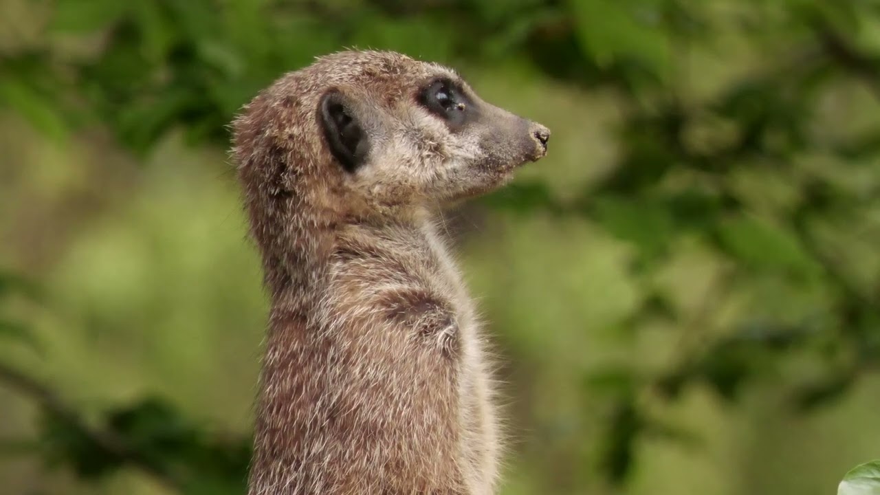 Test Panasonic HC-X1600 en UHD
