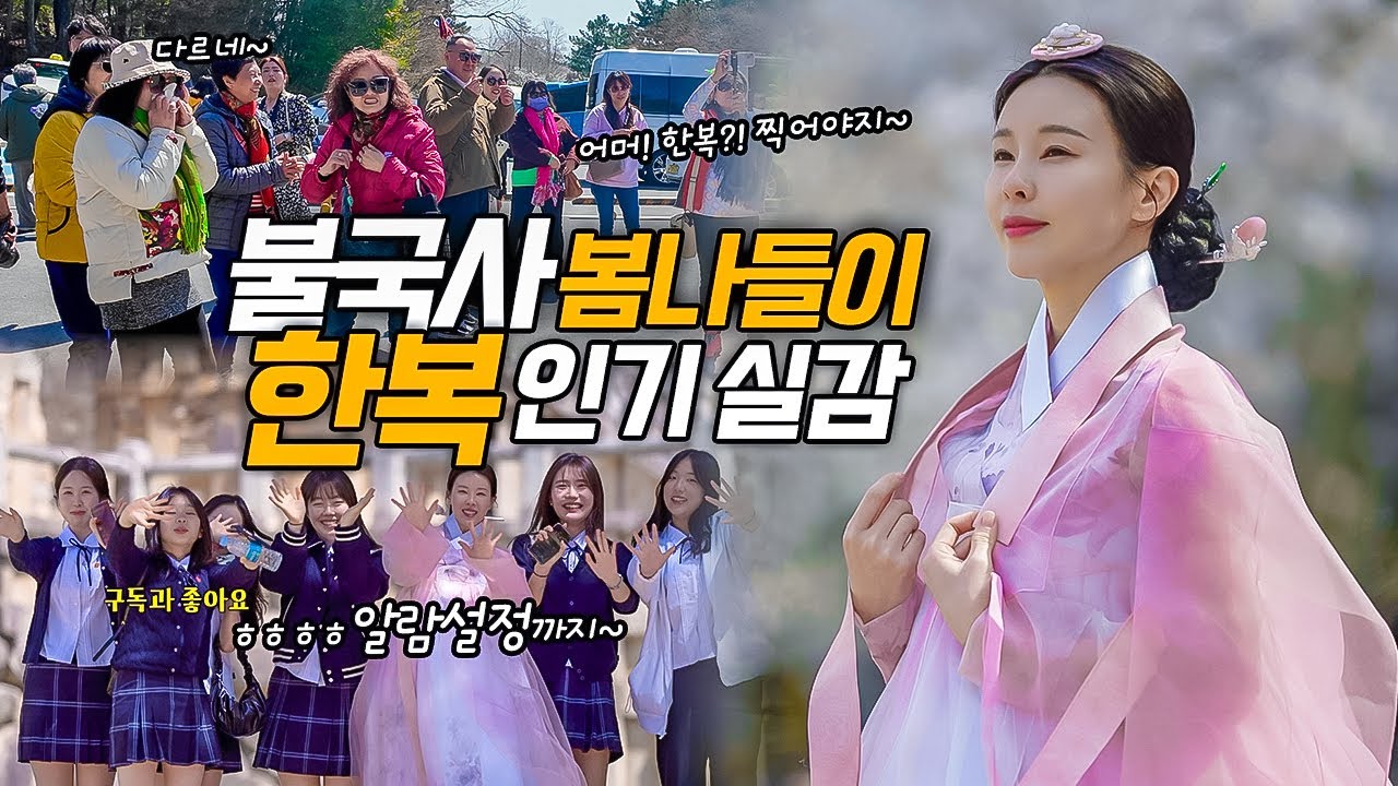 불국사에 한복을 입고 가면 어떤 반응일까? 🌸 봄 경주 벚꽃나들이