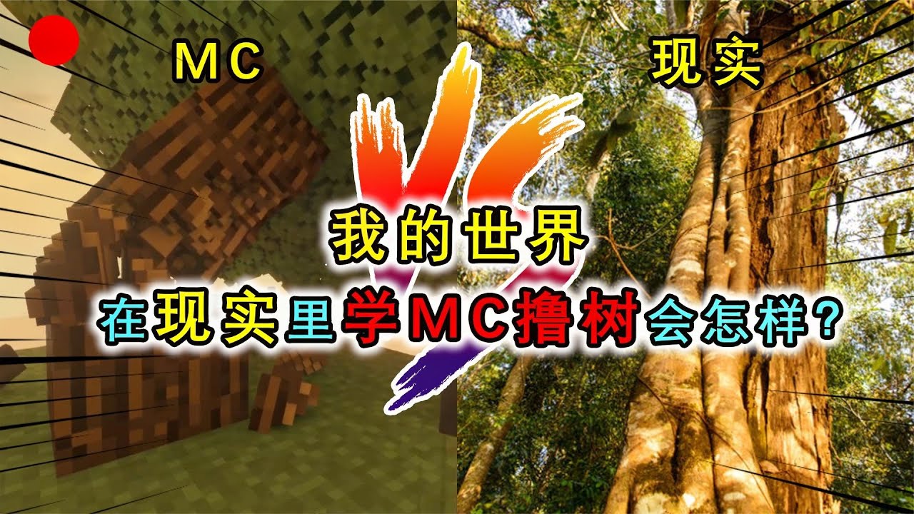 如果在现实学MC撸树会怎样？撸1块木头要13万拳，直接劝退！
