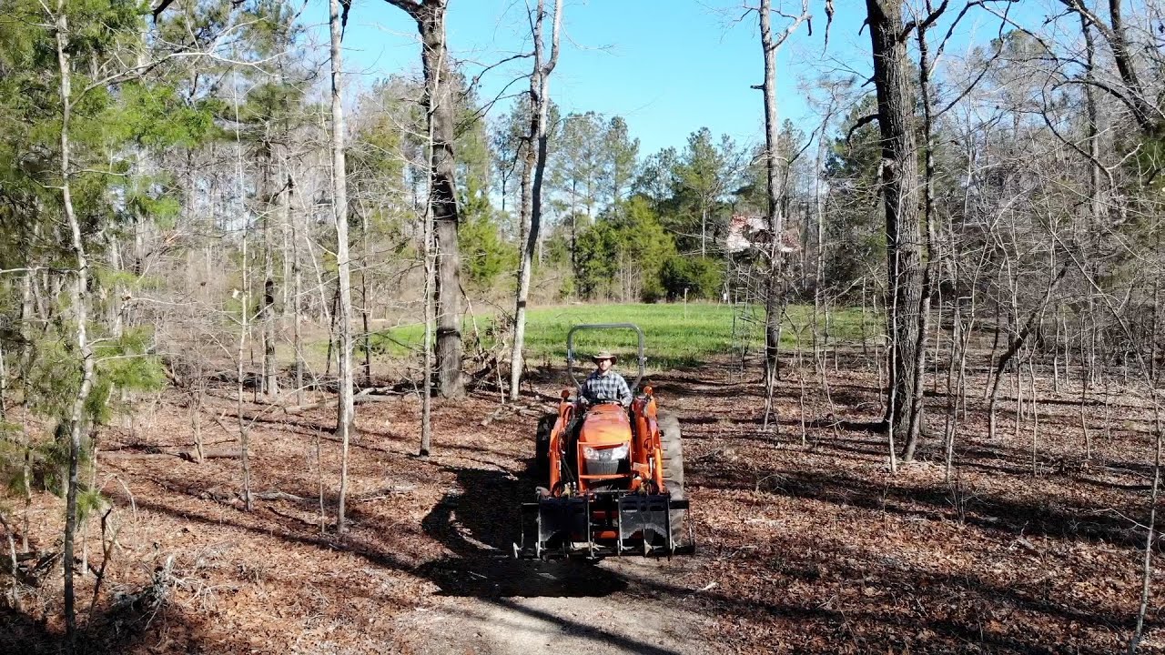 Cutting a Fire Break
