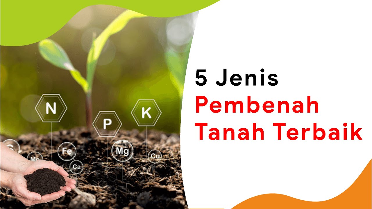 Harus Urut! 3 Cara Memperbaiki Struktur Tanah, 5 Jenis Pembenah Tanah