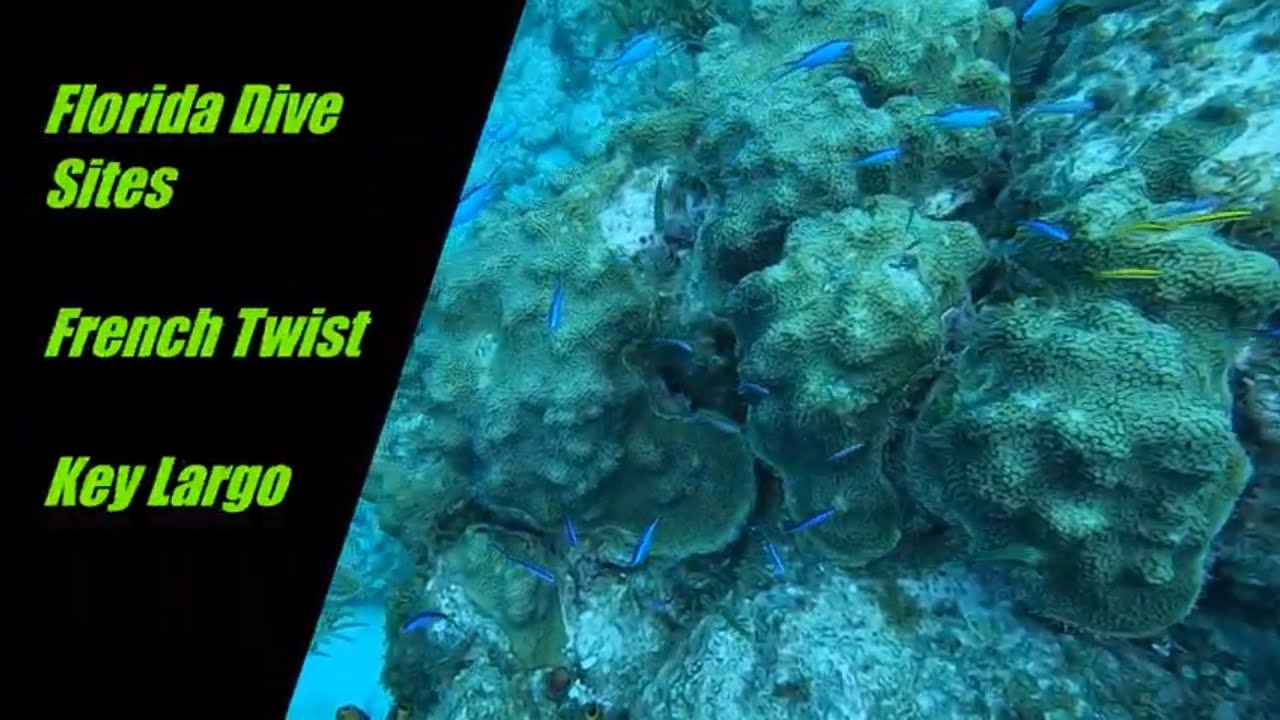 Florida Dive Sites  -  French Twist  Key Largo