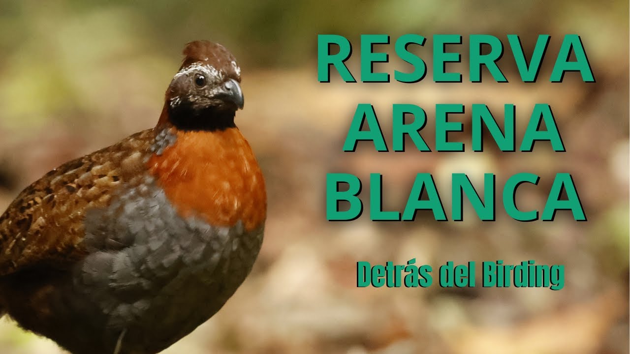 Reserva Arena Blanca - San Martin Perú