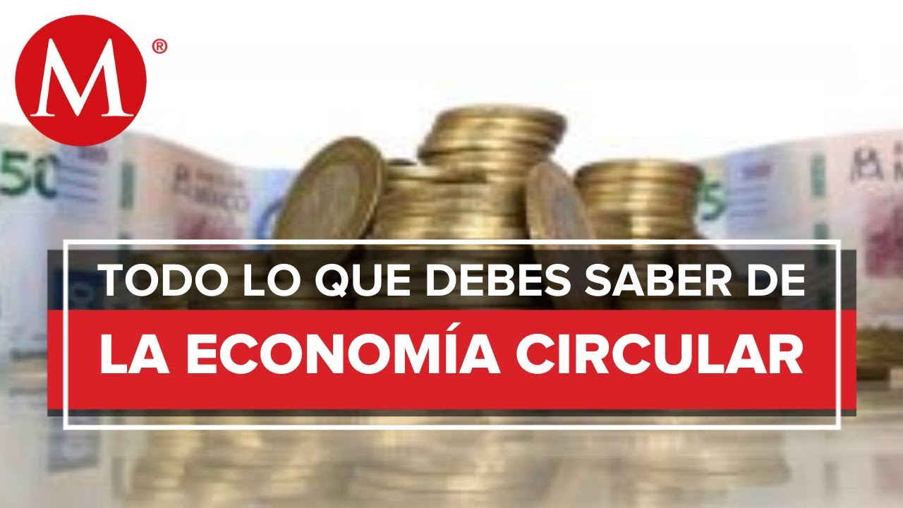 ¿Qué es y en qué consiste la ley de economía circular?