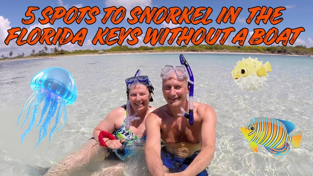 5 Spots to Snorkel in the Florida Keys Without a Boat