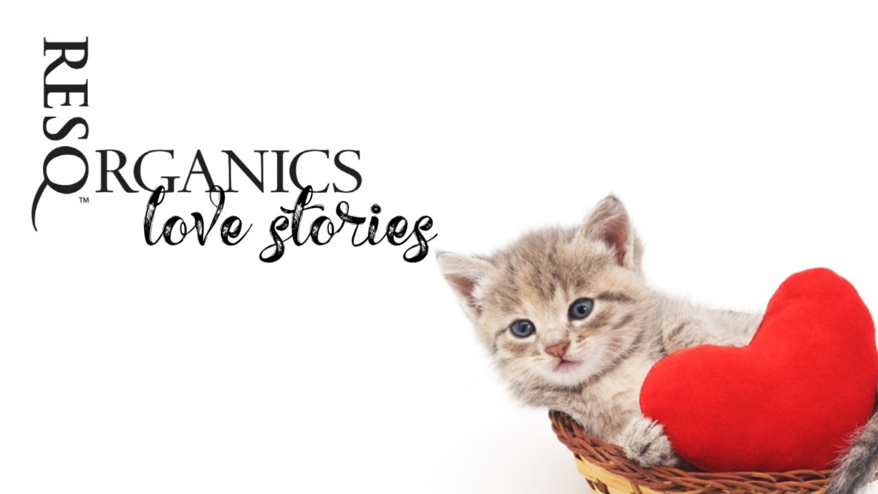 Abby Smith, from Felines & Canines, Recommends ResQ Organics Pet Skin Care