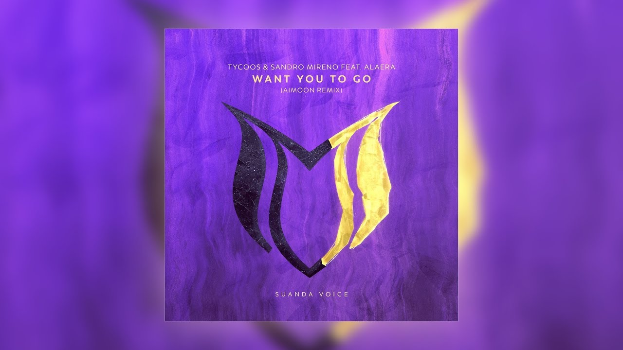 Tycoos & Sandro Mireno feat. Alaera - Want You To Go (Aimoon Remix)