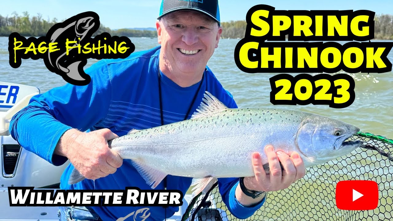 SPRING CHINOOK 2023 - WILLAMETTE RIVER SPRINGER FISHING - Trolling Triangle Flashers and Herring.