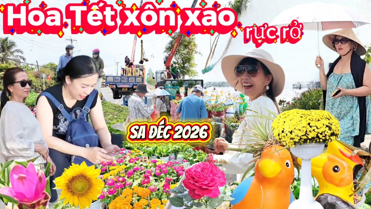 Sa Đéc Rực Rở Sắc Màu hoa Đón Tết Tết 2026  Rộn Ràng 