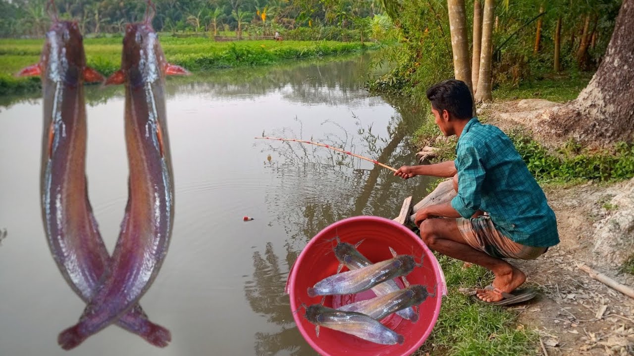 Traditional hook fishing in canal