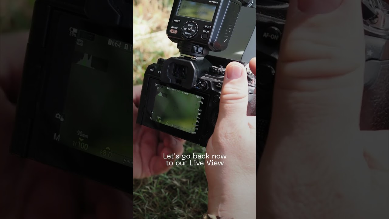 How to set up your #omsystem camera for your next macro adventure  #macrophotography