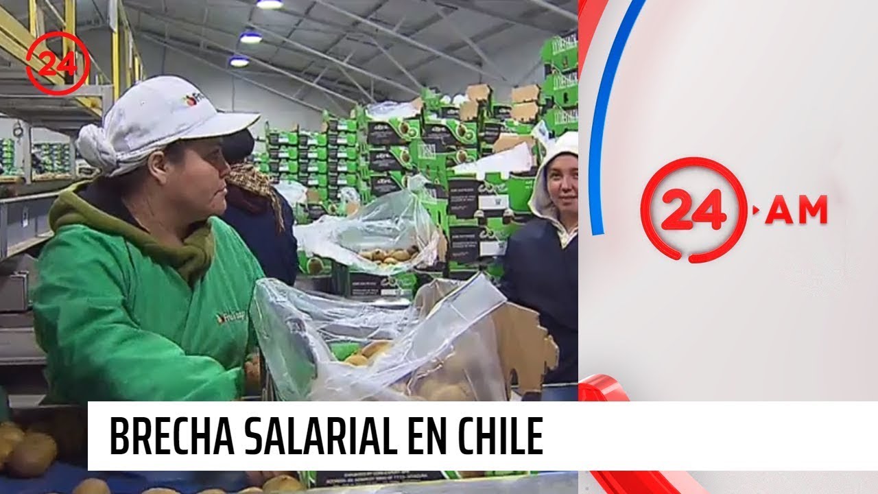 Brecha salarial entre mujeres y hombres en Chile | 24 Horas TVN Chile