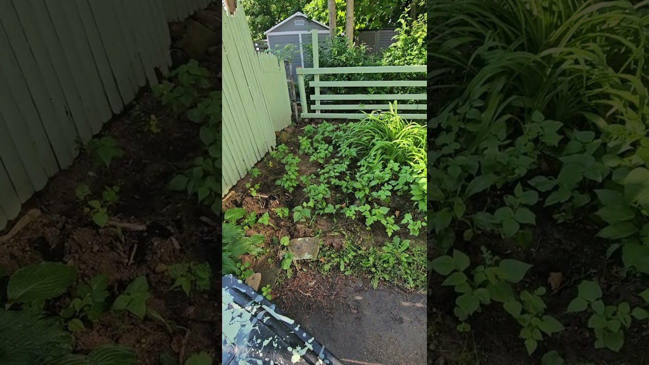 Jaden la kou ( home garden )